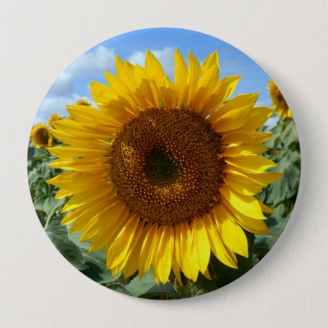 Sunflower Giant Badge Button (Front)