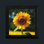 Sunflower Gift Box<br><div class="desc">Photograph by our own Jay Elfstrom of BEJ Studios.</div>