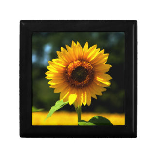 Sunflower Gift Box