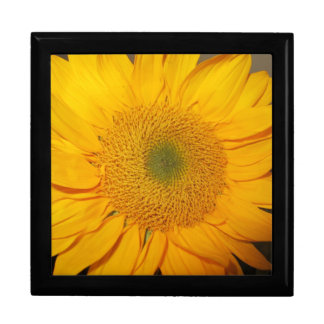 Sunflower giftbox gift box