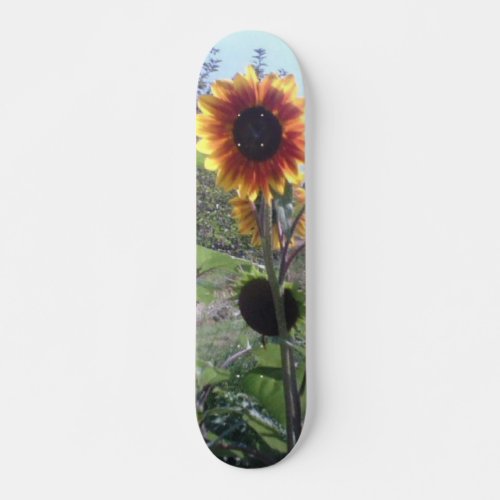 Sunflower Girls Skateboard