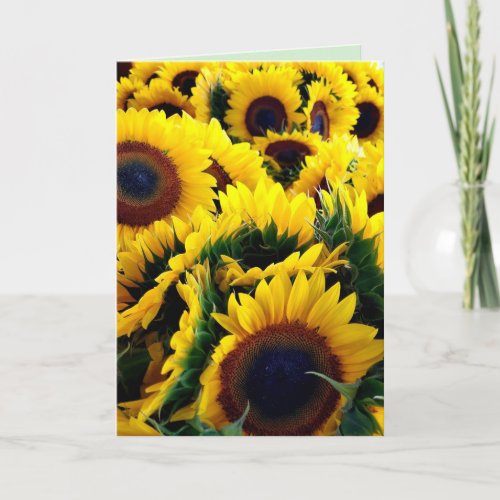 Sunflower Glory 1 Card