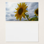 Sunflower Glory Business Card (Front & Back)