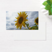 Sunflower Glory Business Card (Desk)