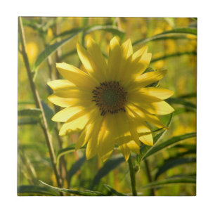 Sunflower Glow Ceramic Tile