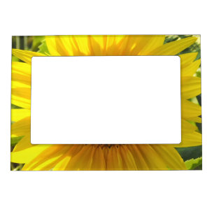 Sunflower Glow Magnetic Frame