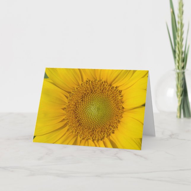 Sunflower Gold Center Card (Front)