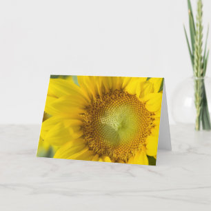 Sunflower Gold Shadow Card