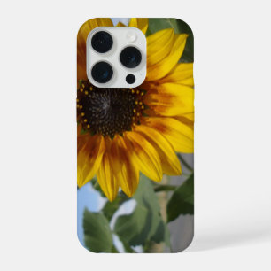 Sunflower Golden Moment, iPhone 15 Pro Case