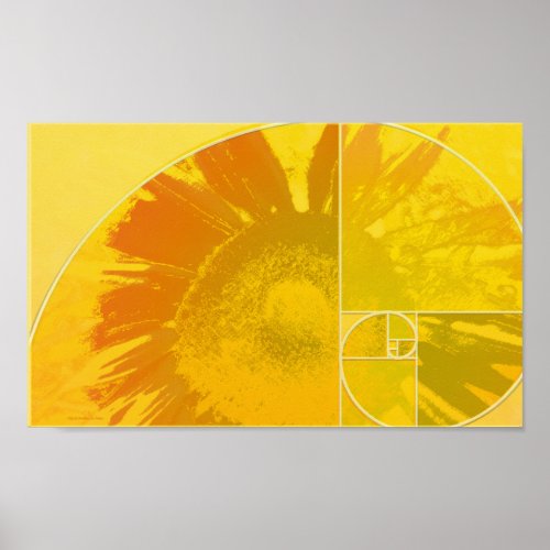 Sunflower Golden Ratio Poster