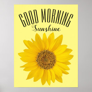 Sunflower Good Morning Sunshine Poster