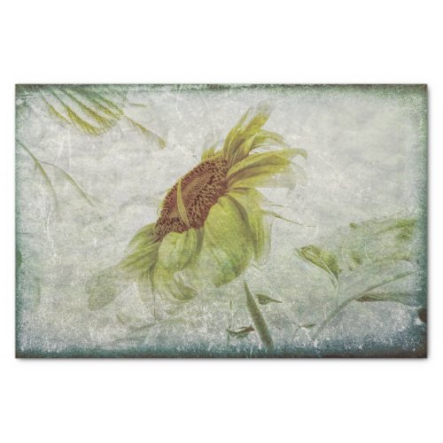 Sunflower Green Grey Vintage Antique Grunge Tissue Paper