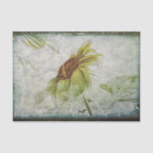 Sunflower Green Grey Vintage Antique Grunge Tissue Paper