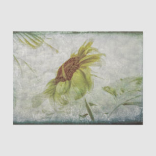Sunflower Green Grey Vintage Antique Grunge Tissue Paper