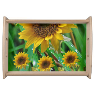 sunflower green yellow dinner serving tray