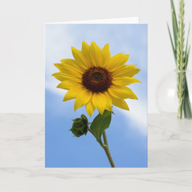 Sunflower Greeting Cards (Front)