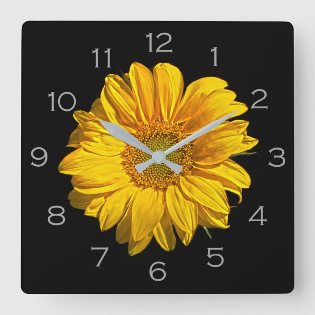 Sunflower Grey Numbers wccna Square Wall Clock (Front)