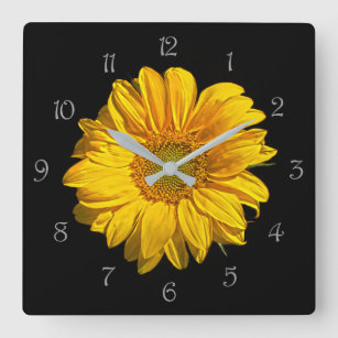 Sunflower Grey Script Numbers wc Square Wall Clock