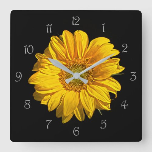 Sunflower Grey Script Numbers wcm Square Wall Clock