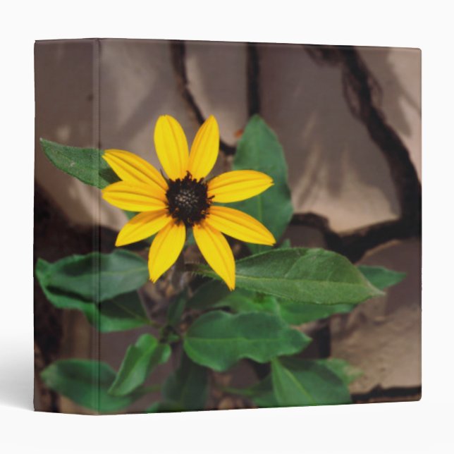 Sunflower growing from Cracked Mud 3 Ring Binder (Front/Spine)