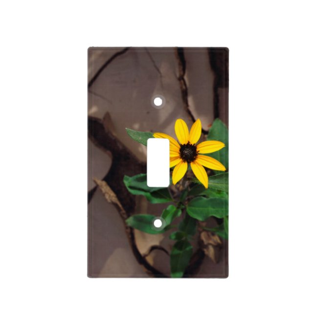 Sunflower growing from Cracked Mud Light Switch Cover (Front)