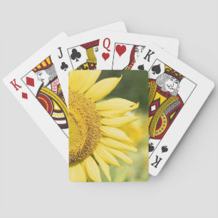Sunflower – Half Sunflower Photography Poker Cards