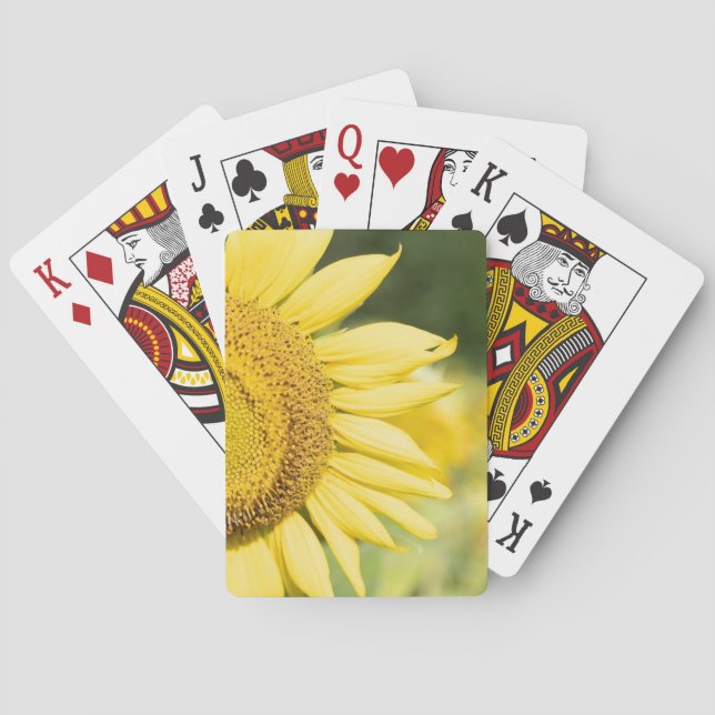 Sunflower – Half Sunflower Photography Poker Cards (Back)