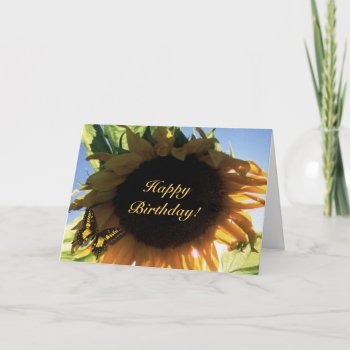 Sunflower  Happy Birthday! Card by MoonArtandDesigns at Zazzle