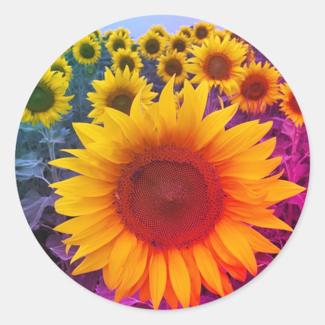 Sunflower Harvest Colorful Rainbow Sticker (Front)