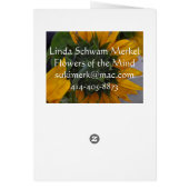Sunflower Haze Cards (Back)