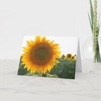 Sunflower heart card (blank)