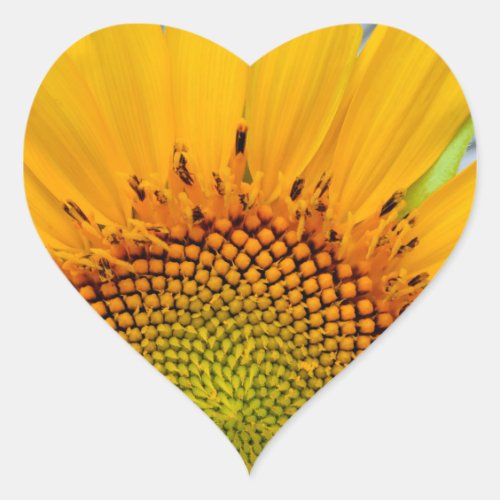 Sunflower Heart Sticker