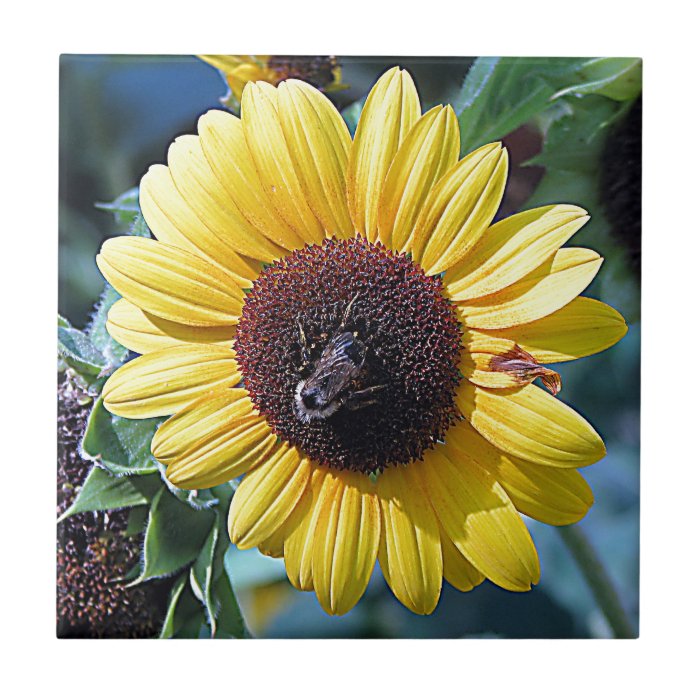 Sunflower Honey Bee Tile