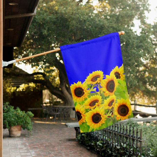 Sunflower House Flag (In SItu)