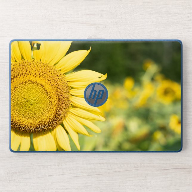 Sunflower HP Laptop Skin (Front)