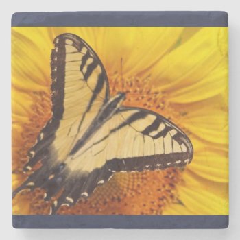 Sunflower Iii Coaster by Considernature at Zazzle