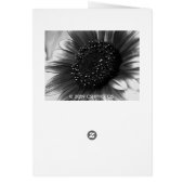 Sunflower in Black and White (Back)