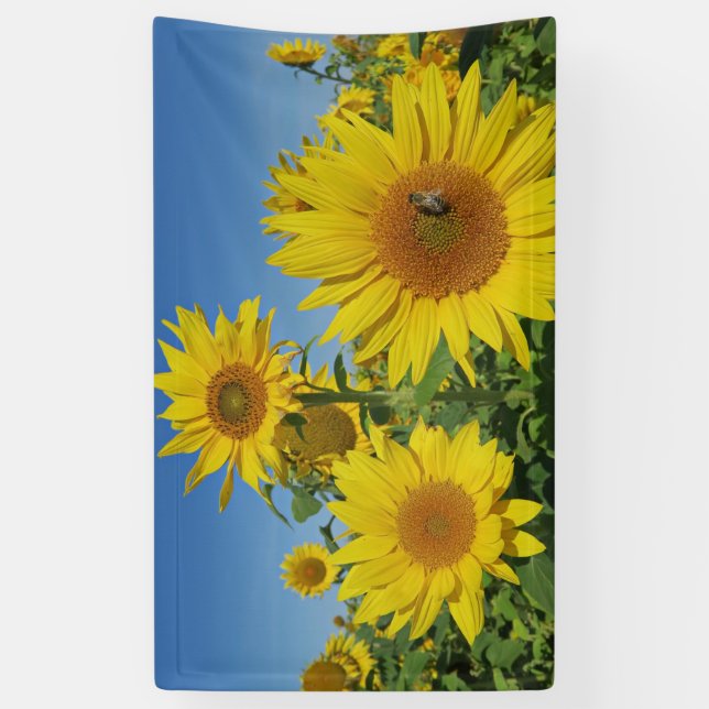 sunflower in blue sky colorful summer blossom banner (Vertical)