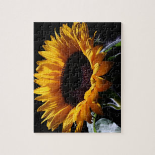 sunflower farm jigsaw puzzle sunflower farm jigsaw puzzle