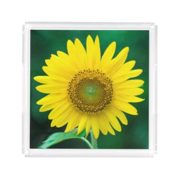 Sunflower In Summer Acrylic Tray by ICandiPhoto at Zazzle