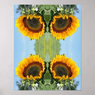 Sunflower In Sunshine Abstract Flower Art  Poster