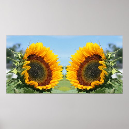 Sunflower In Sunshine Mirror Abstract  Poster