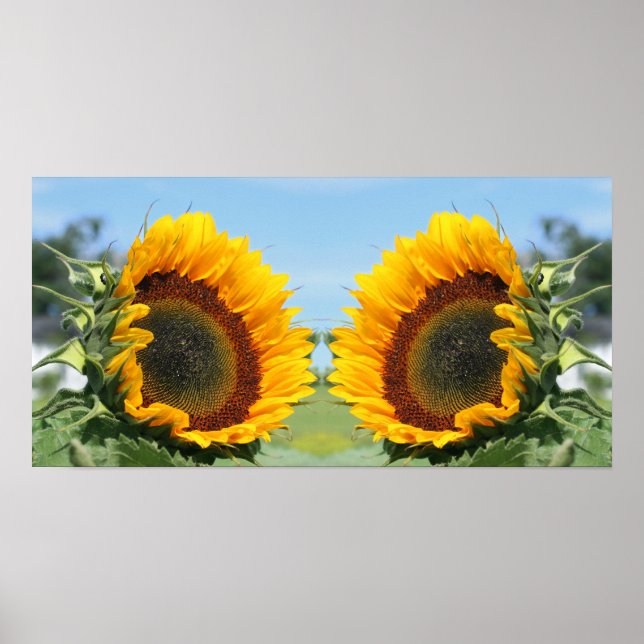Sunflower In Sunshine Mirror Abstract  Poster (Front)