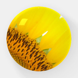 sunflower in Sunshine Paperweight