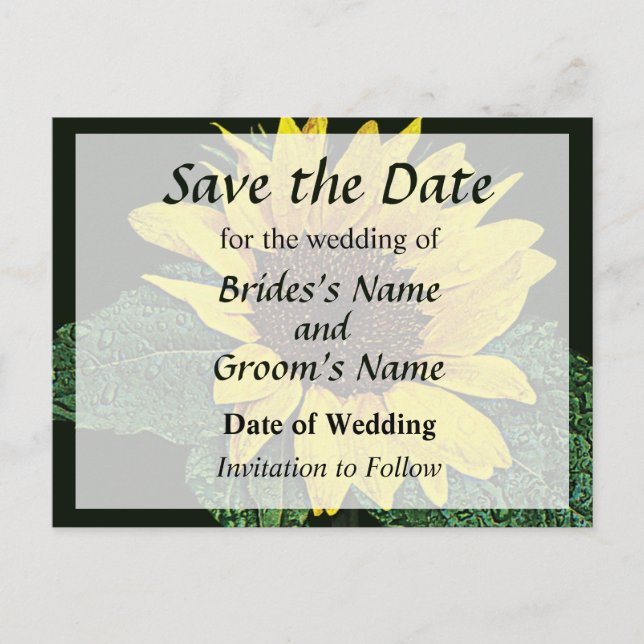 Sunflower in the Rain Save the Date Announcement Postcard (Front)