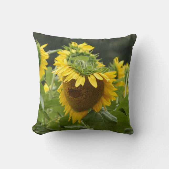Sunflower in the Rain Throw Pillow (Front)