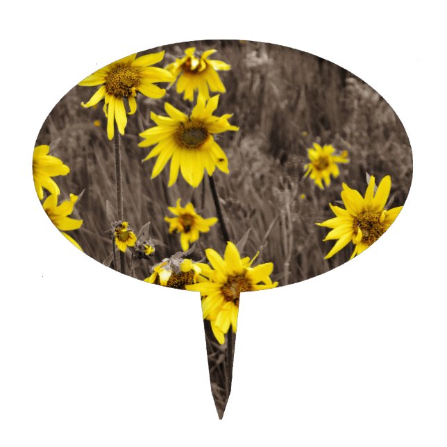 Sunflower in the Rocky Mountain Cake Topper (Front)