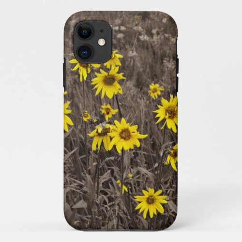 Sunflower in the Rocky Mountain iPhone 11 Case