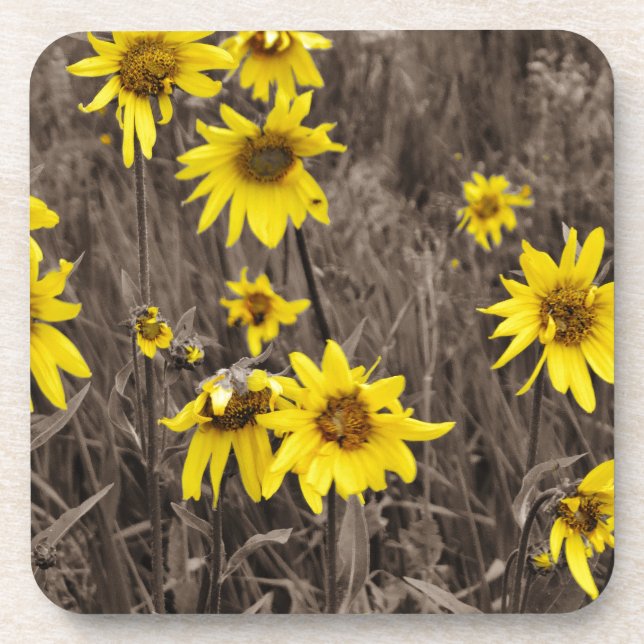 Sunflower in the Rocky Mountain Drink Coaster (Front)
