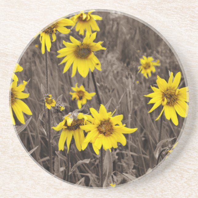 Sunflower in the Rocky Mountain Drink Coaster (Front)